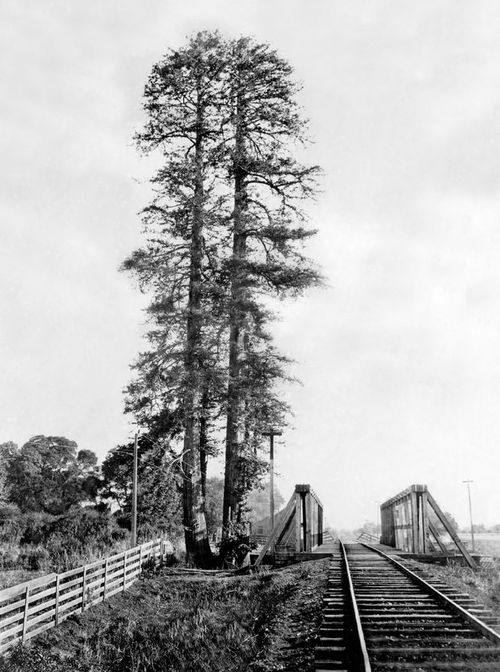 Palo Alto